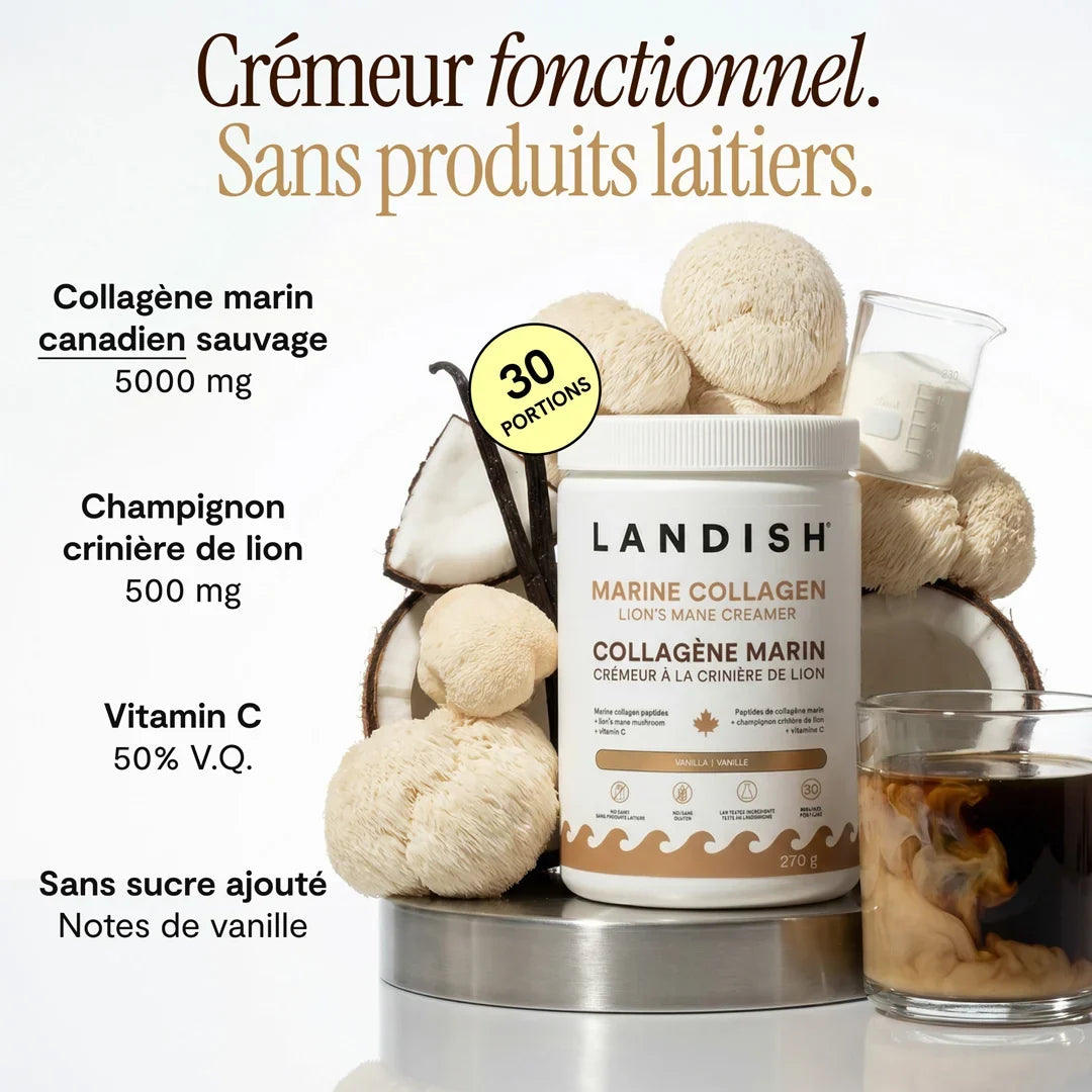 Crémeur à café à la crinière de lion