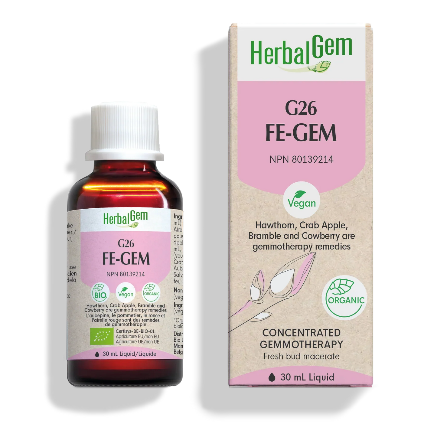 G26 FE-GEM