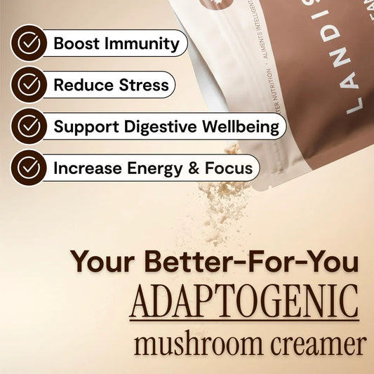 Crémeur à café aux 5 champignons
