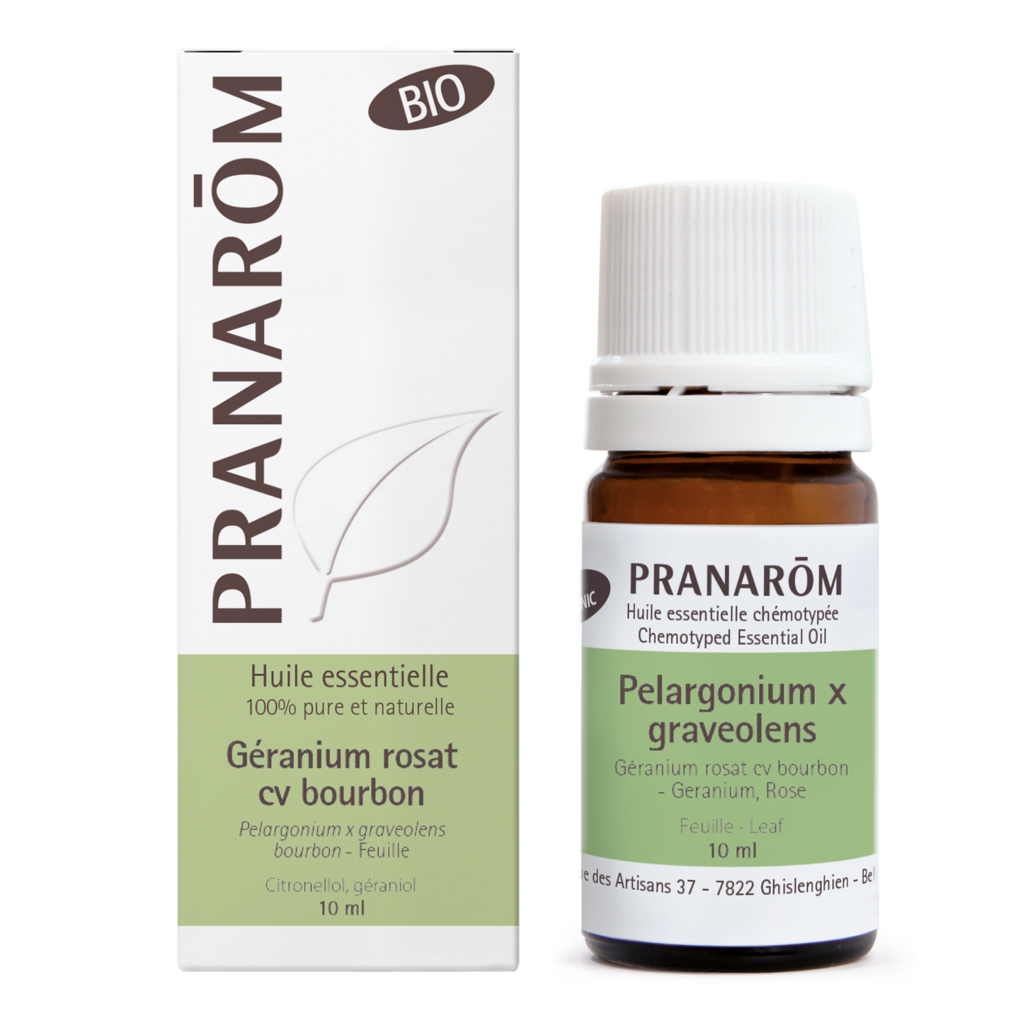 Géranium rosat cv bourbon - feuille BIO