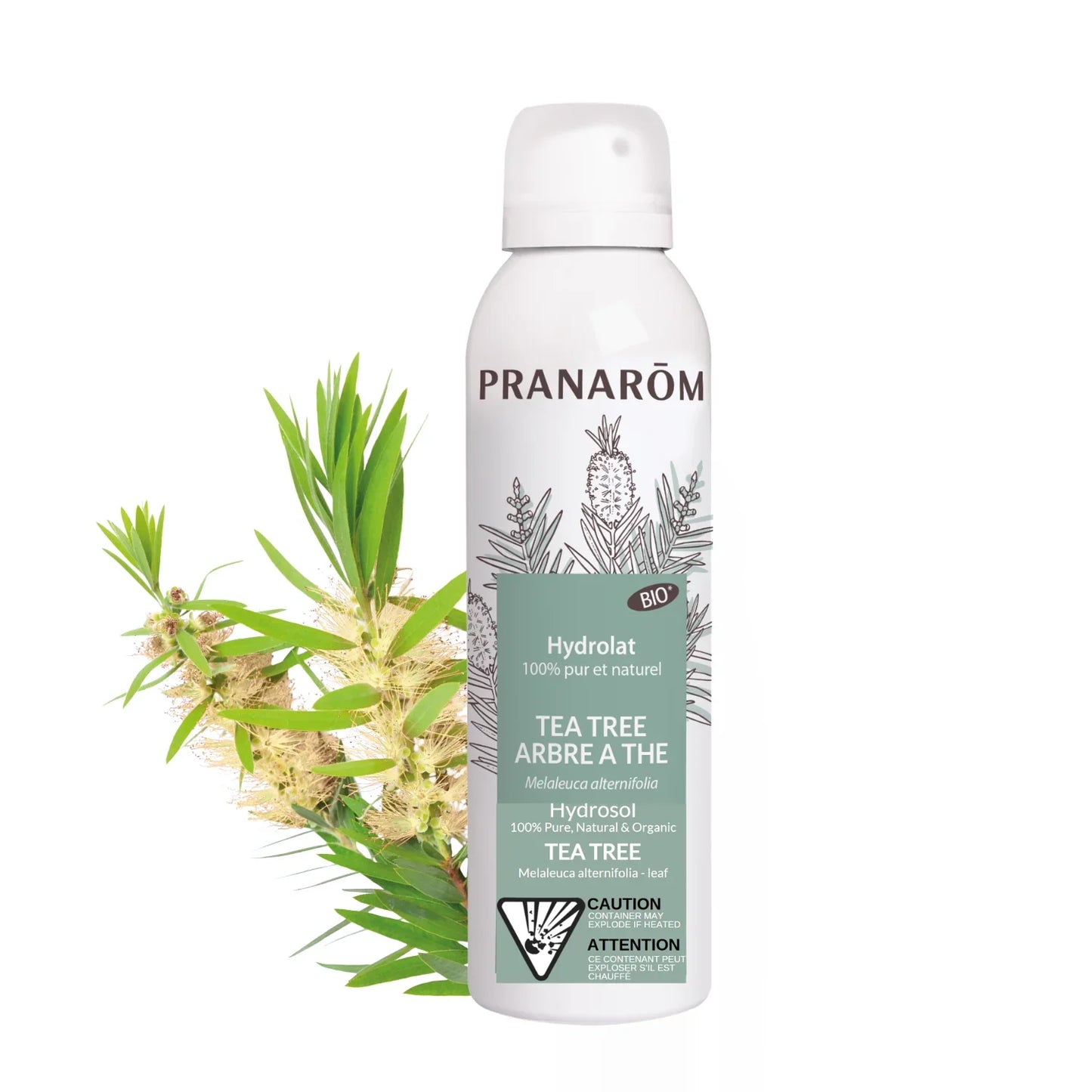 Hydrolat Tea Tree d’eau précieuse