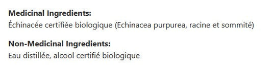 Echinapura