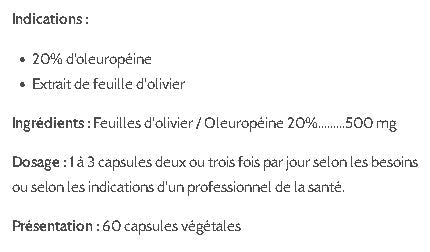 Feuille d'olivier - Olive Leaf