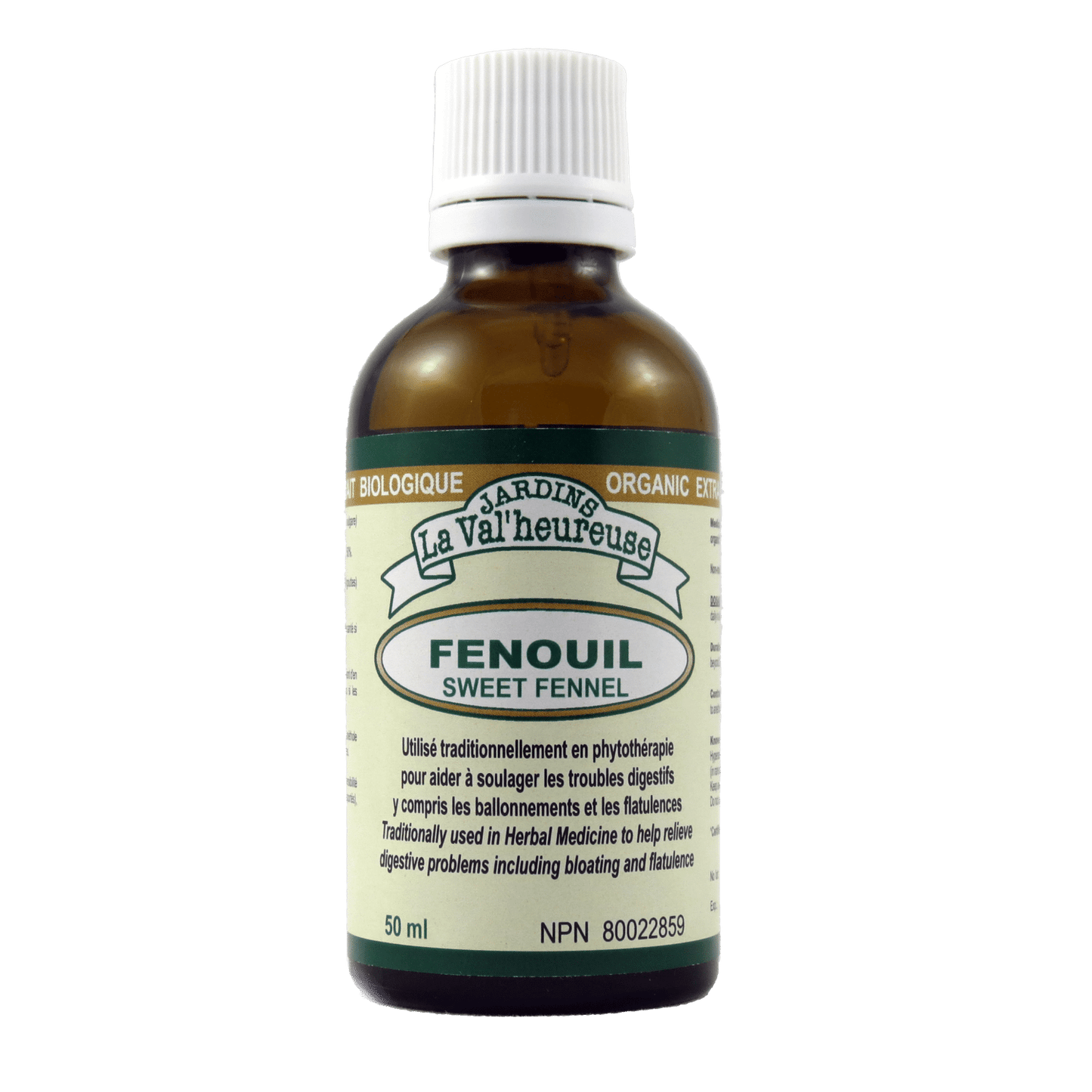 Fenouil