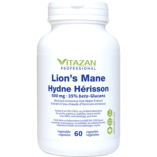 Lion’s Mane