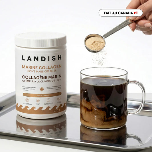 Crémeur à café à la crinière de lion