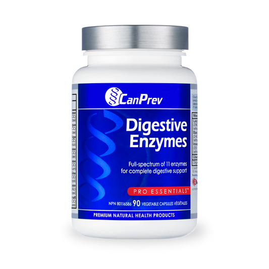 Digestive Enzymes