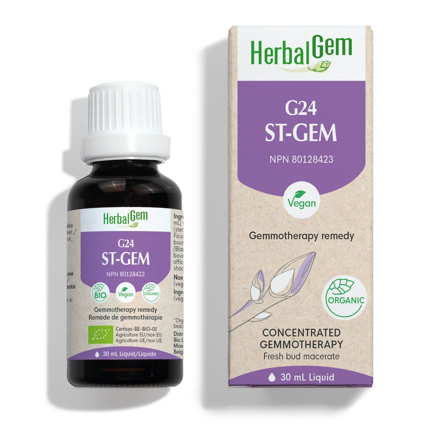 G24 ST-GEM