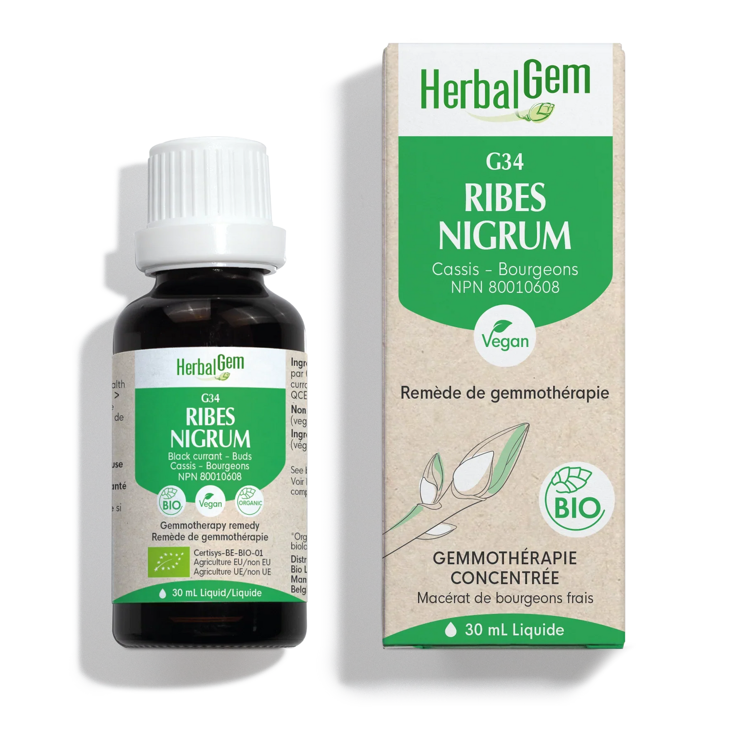 G34 - Ribes Nigrum - cassis