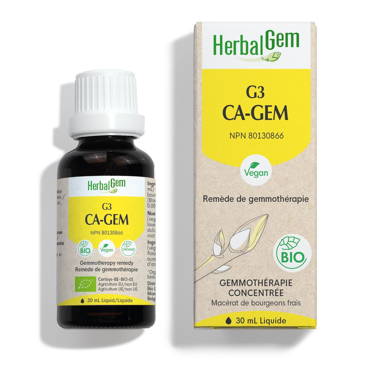 G3 CA-GEM