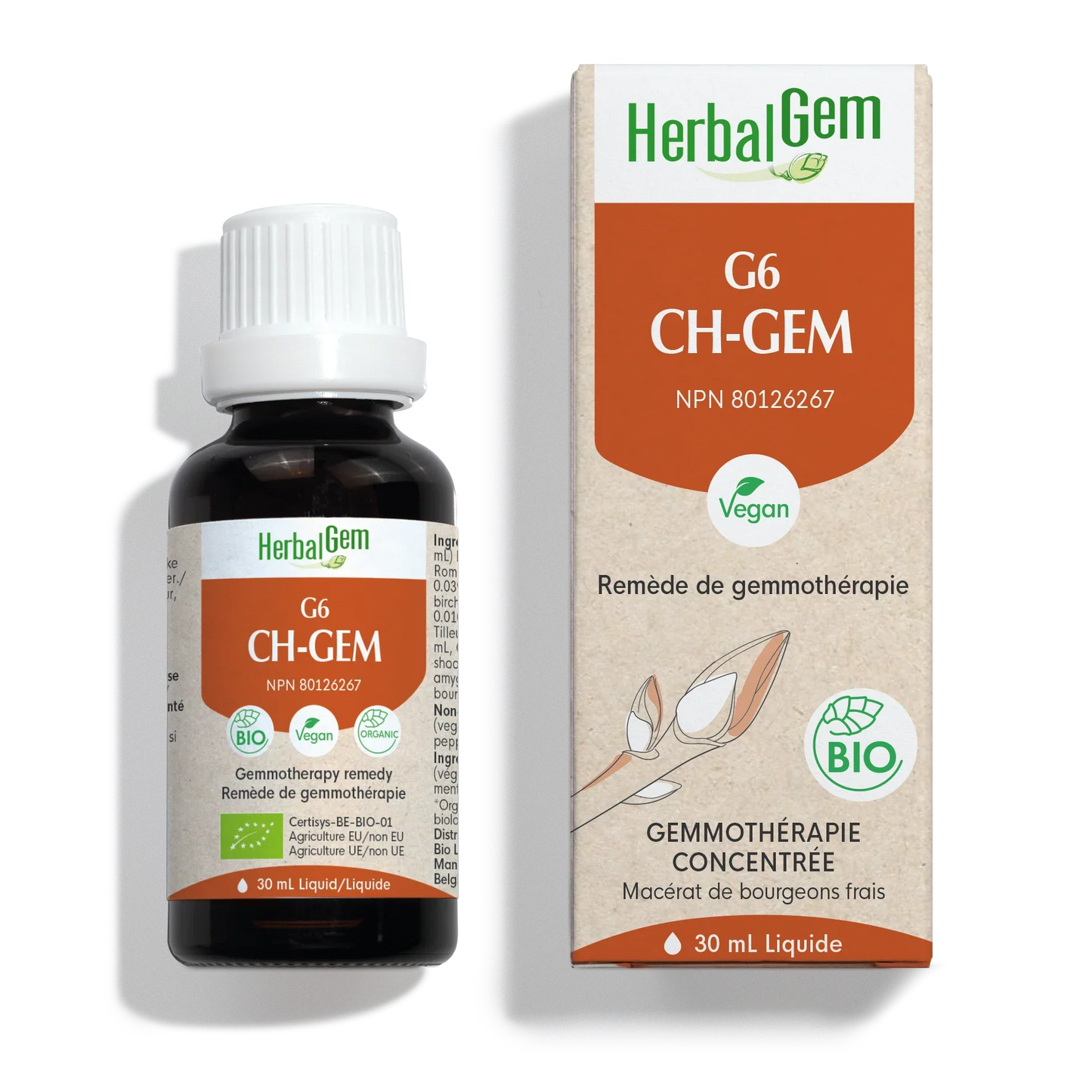 G6 CH-GEM