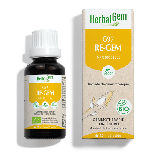 G97 RE-GEM