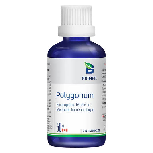 Polygonum
