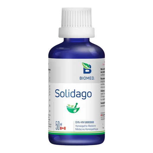 Solidago