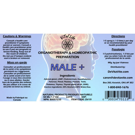 Male +