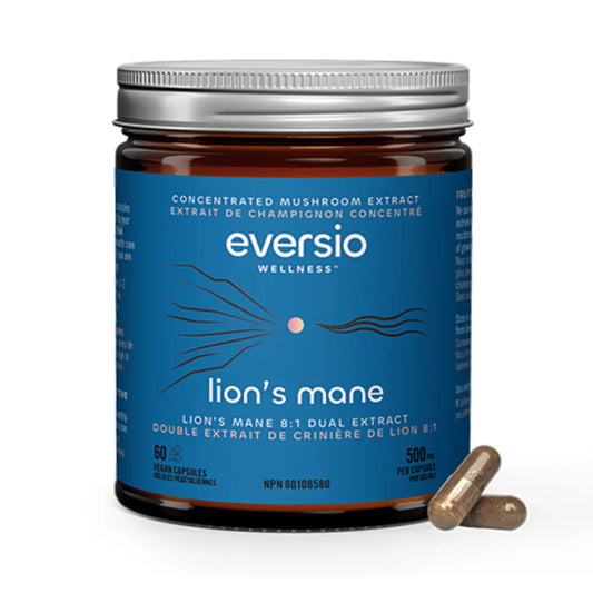 Lion's Mane (FOCUS Now)