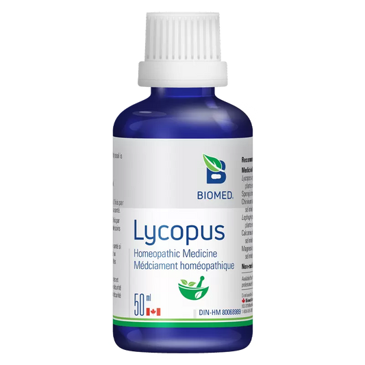 Lycopus